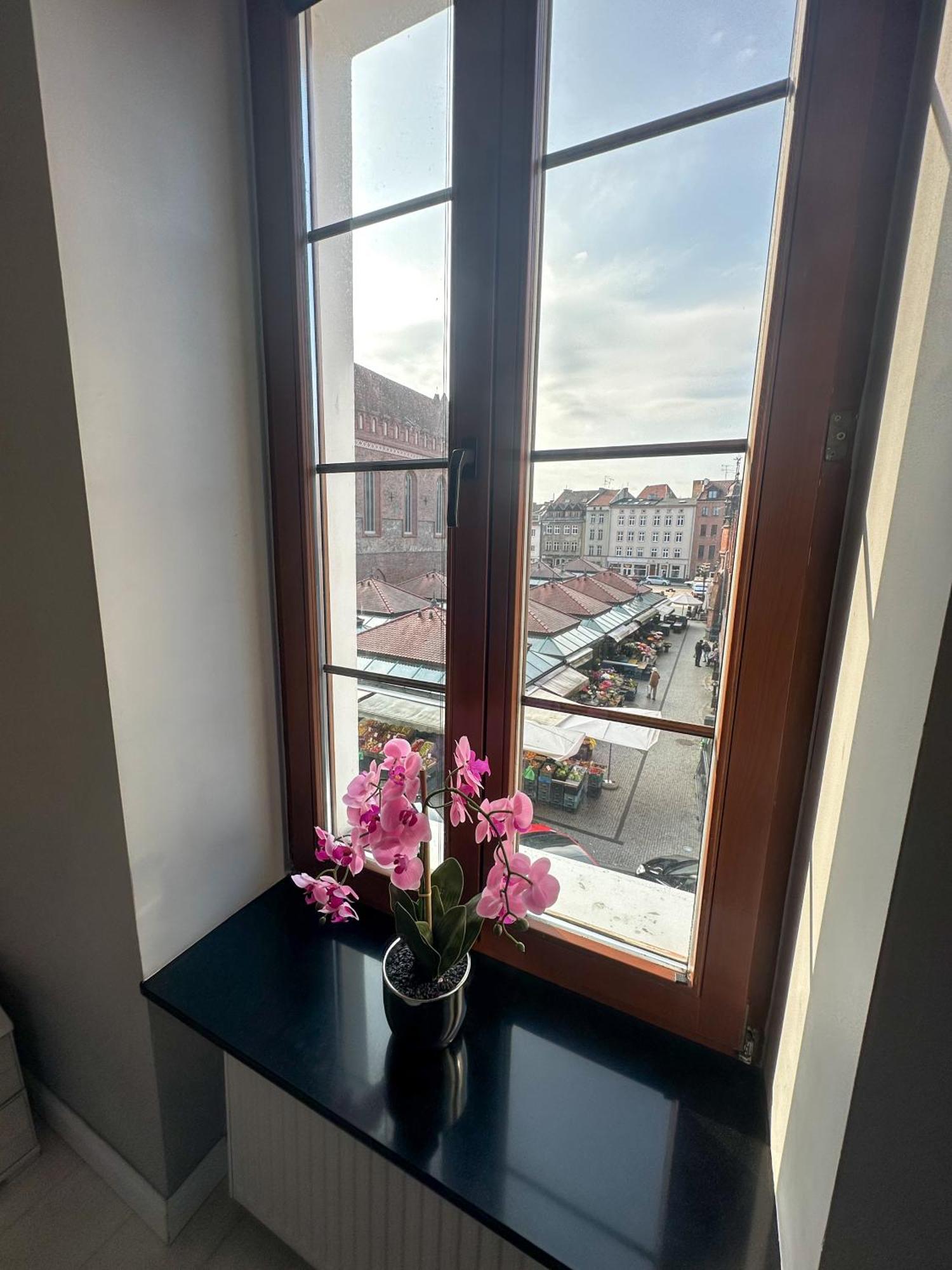 Euro Loft Old Town Appartamento
